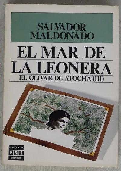 El mar de la leonera