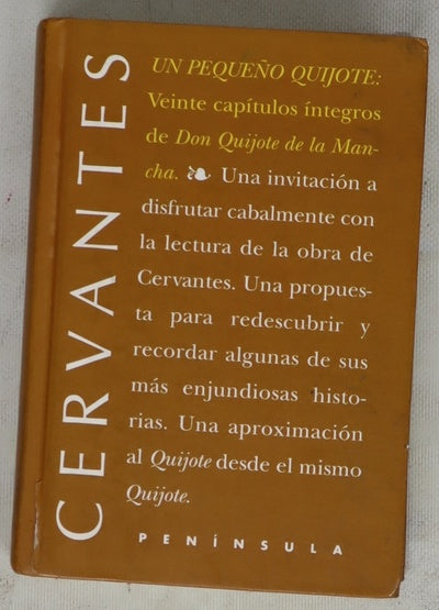 Un pequeño Quijote