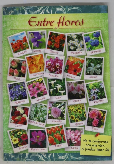 Entre flores : curiosidades, características, historia, cuidados y usos terapéuticos