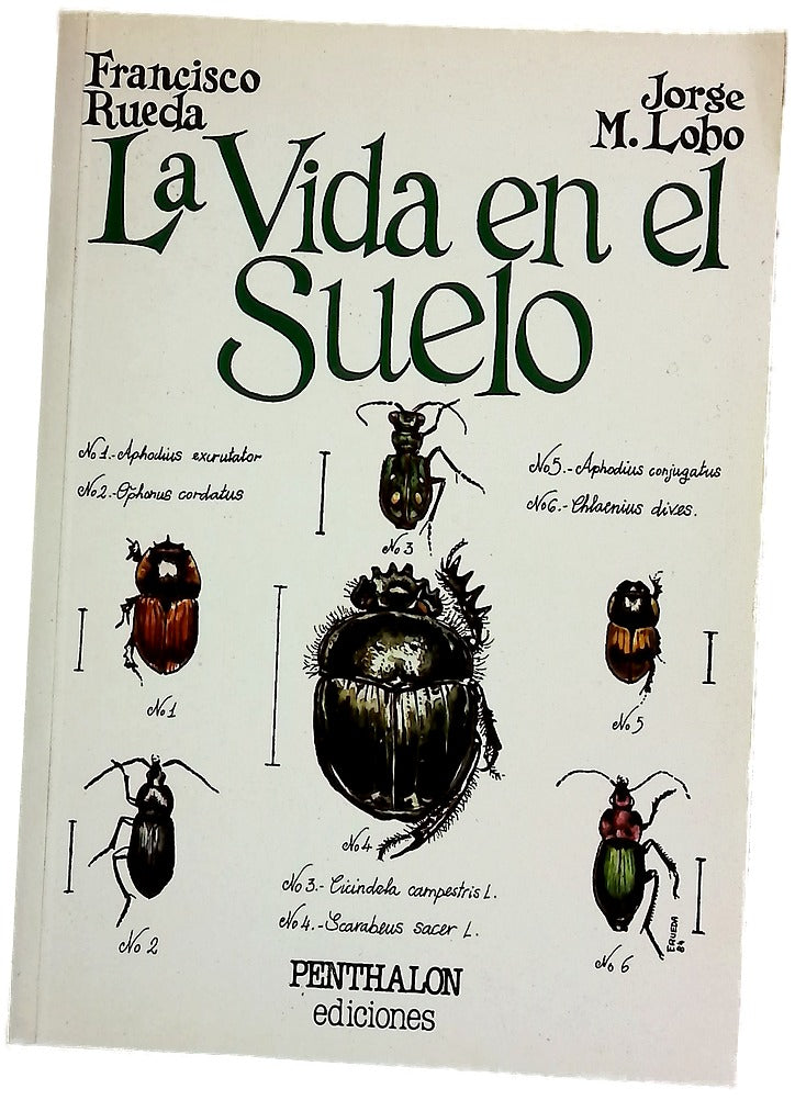 La vida en el suelo