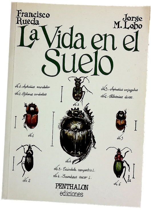 La vida en el suelo