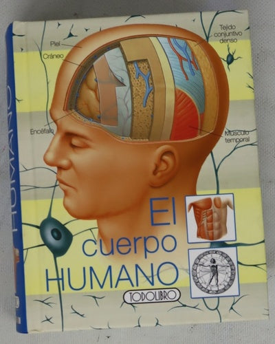 El cuerpo humano