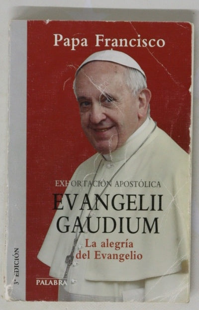Exhortación apostólica "Evangelii gaudium" del Santo Padre Francisco a los obispos, a los presbíteros y diáconos, a las personas consagradas y a los fieles laicos sobre el anuncio del evangelio en el mundo actual