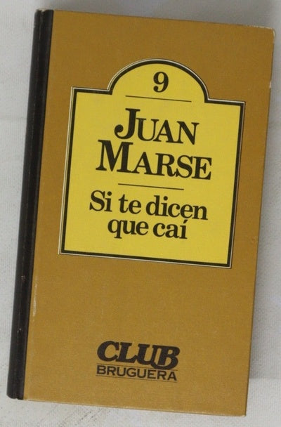 Si te dicen que caí