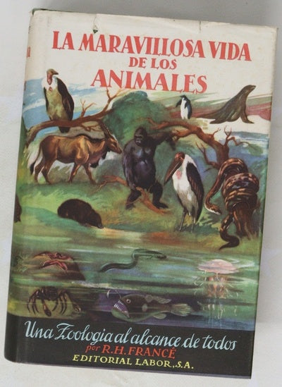 La maravillosa vida de los animales Una zoología para todos