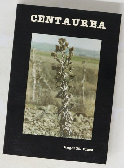 Centaurea