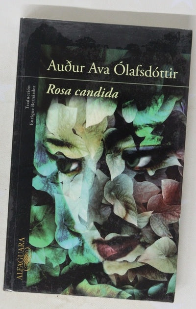 Rosa candida
