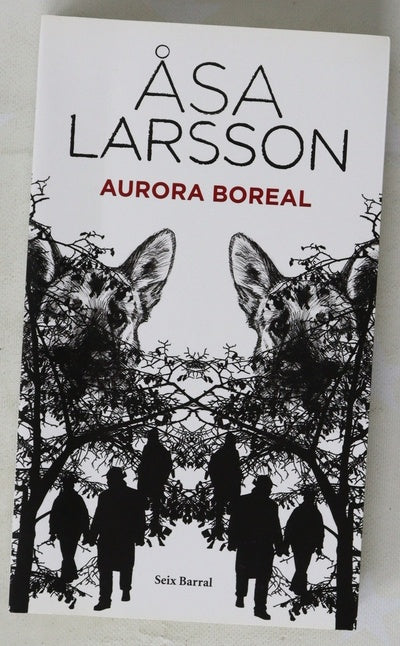 Aurora boreal