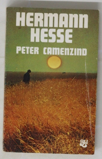 Peter Camenzind