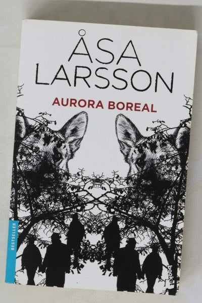 Aurora boreal