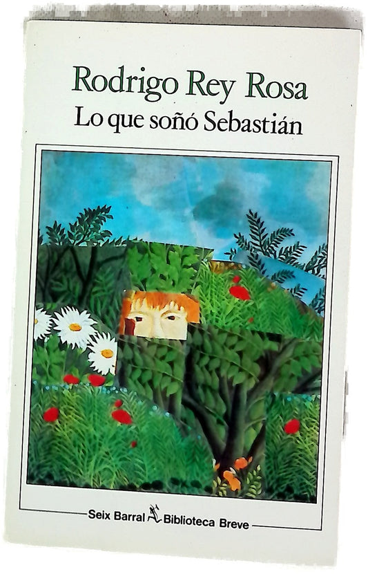 Lo que soñó Sebastián