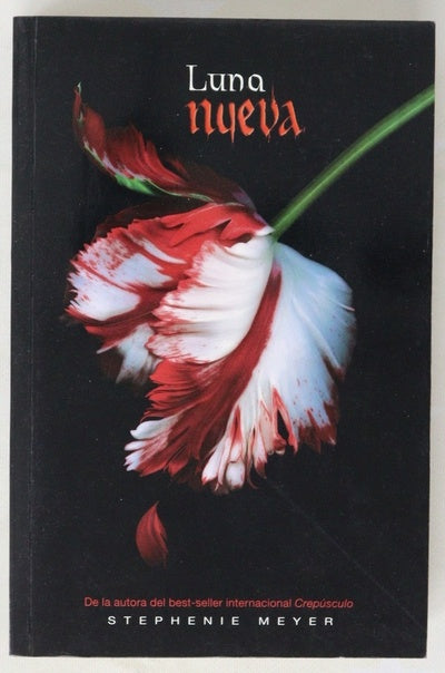 Luna nueva