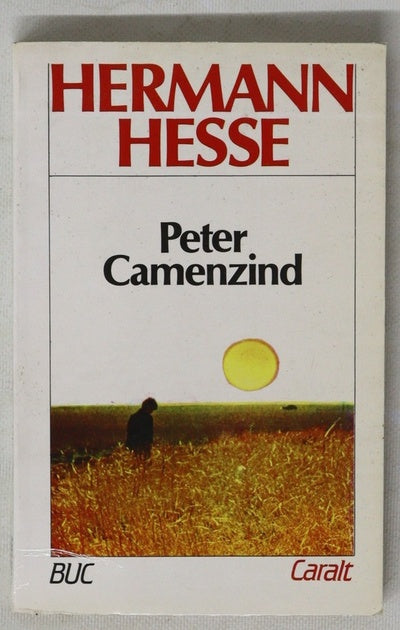 Peter Camenzind