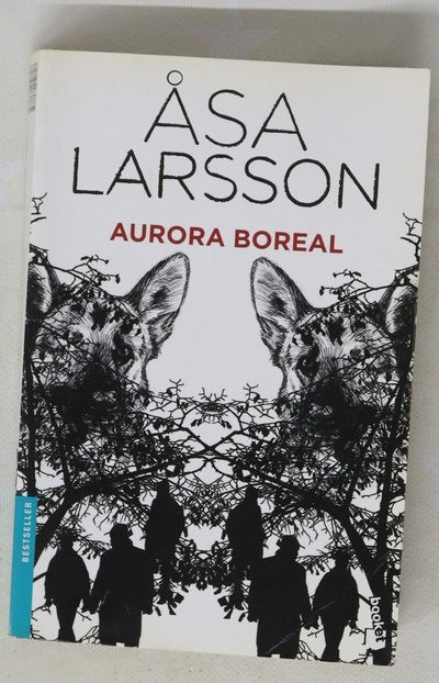 Aurora boreal