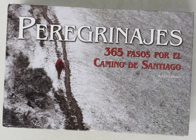 Peregrinajes 365 pasos por el Camino de Santiago