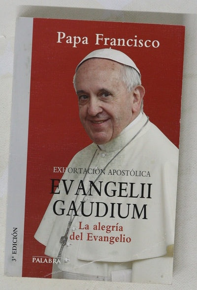 Exhortación apostólica "Evangelii gaudium" del Santo Padre Francisco a los obispos, a los presbíteros y diáconos, a las personas consagradas y a los fieles laicos sobre el anuncio del evangelio en el mundo actual
