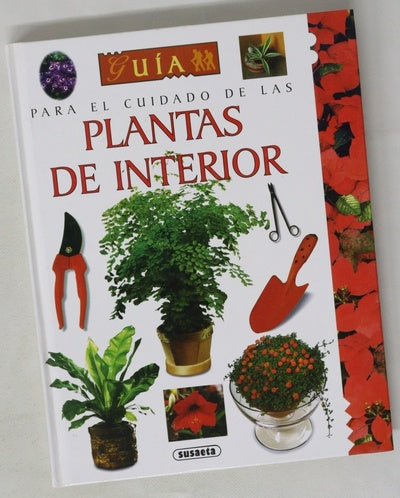 Plantas de interior