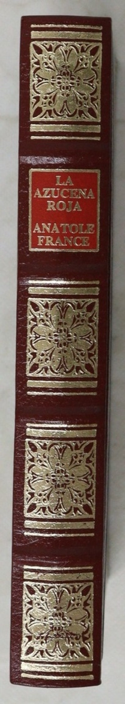 La azuzena roja