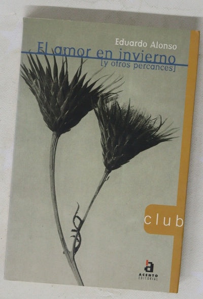 El amor en invierno (y otros percances)