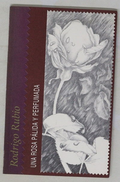 Una rosa pálida y perfumada