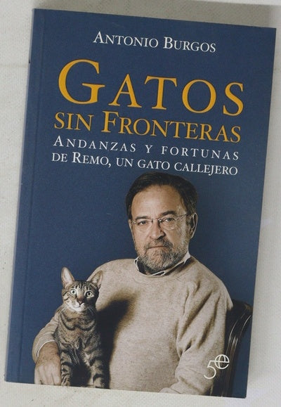 Gatos sin fronteras andanza y fortunas de Remo, un gato callejero
