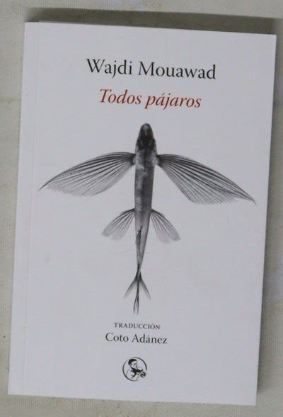 Wajdi Mouawad : Todos pájaros : teatro : Sala Verde, del 5 al 29 de diciembre, estreno absoluto : Teatros del Canal 2024/2025