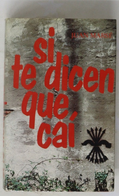 Si te dicen que caí