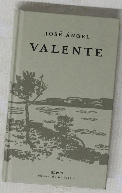 José Ángel Valente