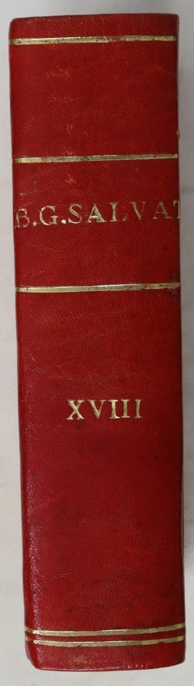 Paraíso reclamado (XVIII)