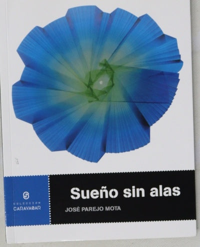 Sueño sin alas