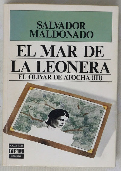 El mar de la leonera