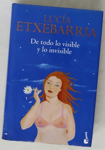 De todo lo visible y lo invisible una novela sobre el amor y otras mentiras