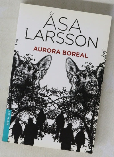 Aurora boreal