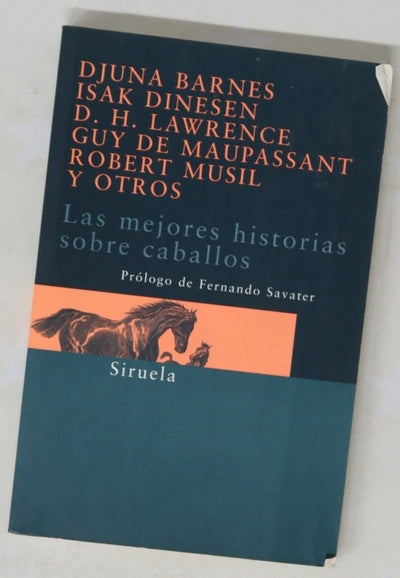 Las mejores historias sobre caballos