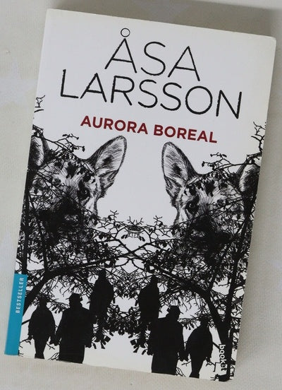 Aurora boreal