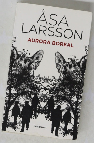 Aurora boreal