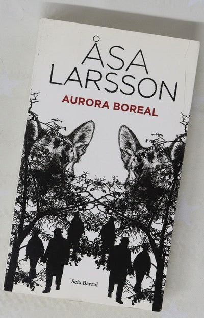 Aurora boreal
