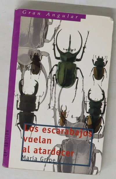 Los escarabajos vuelan al atardecer