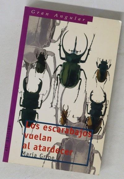 Los escarabajos vuelan al atardecer