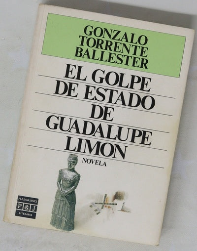 El golpe de estado de Guadalupe Limón
