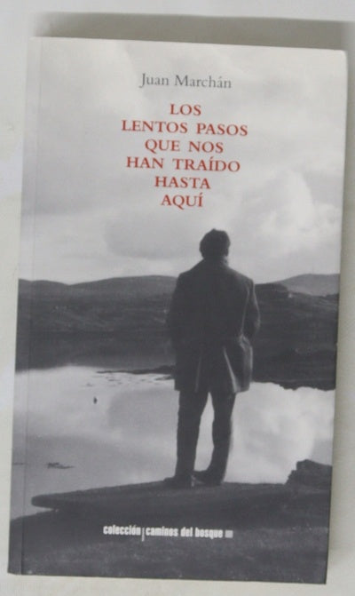 Los lentos pasos que nos han traído hasta aquí