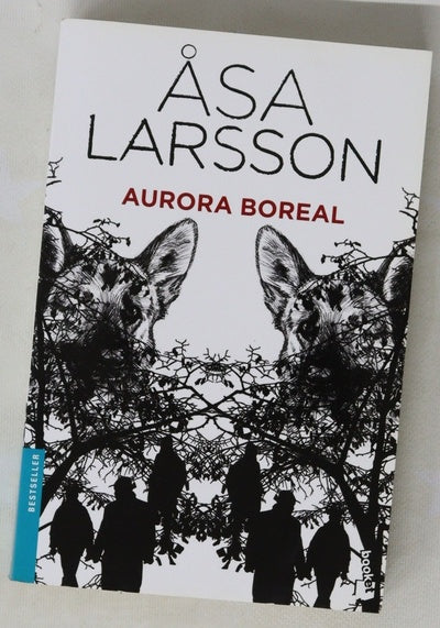 Aurora boreal