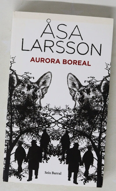 Aurora boreal