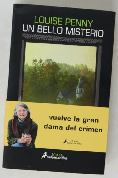 Un bello misterio