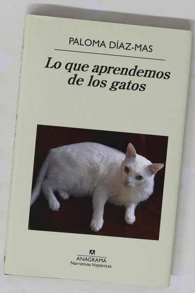 Lo que aprendemos de los gatos