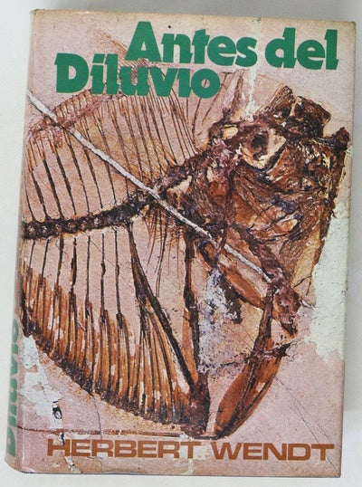 Antes del diluvio