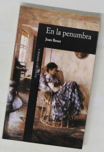 En la penumbra