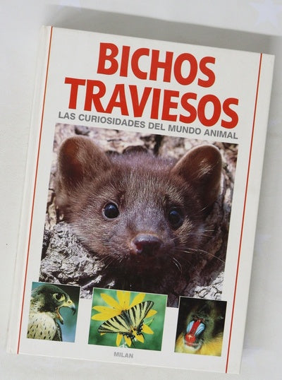 Bichos traviesos las curiosidades del mundo animal