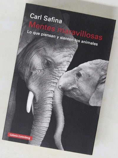Mentes maravillosas : lo que piensan y sienten los animales