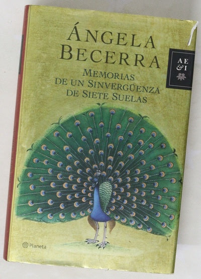 Memorias de un sinvergüenza de siete suelas